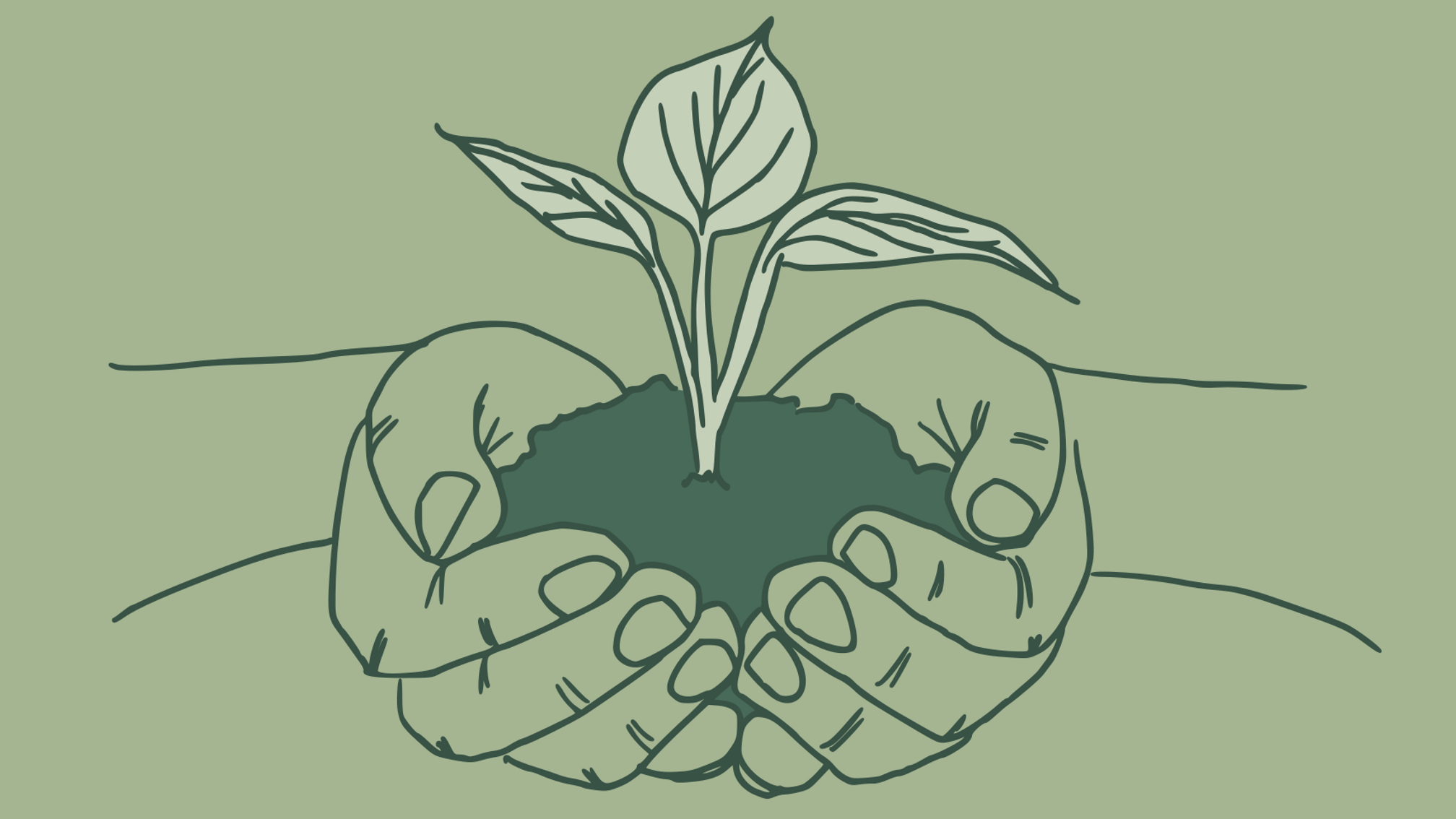 The Relational Practice Webinar - Compassion and Accountability